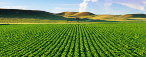 banner_agriculture